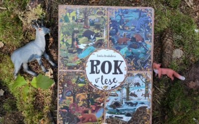 Rok v&nbsp;lese — Emilia Dziubak